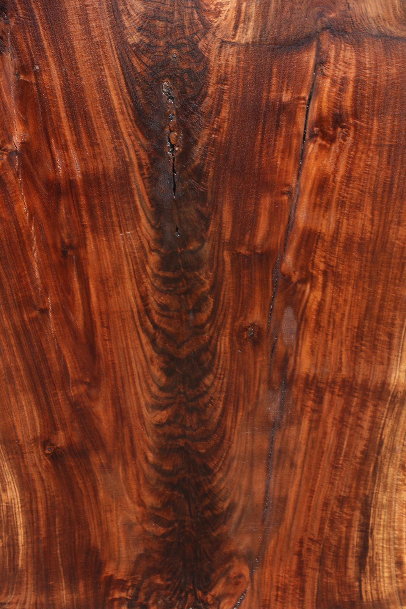 Extra Fancy Fiddleback Claro Walnut Live Edge Slab