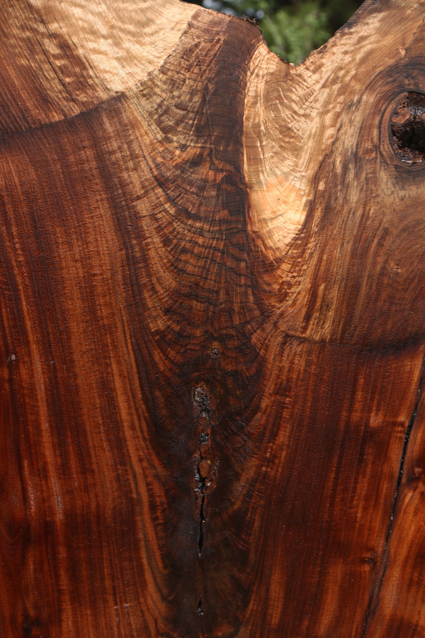 Extra Fancy Fiddleback Claro Walnut Live Edge Slab