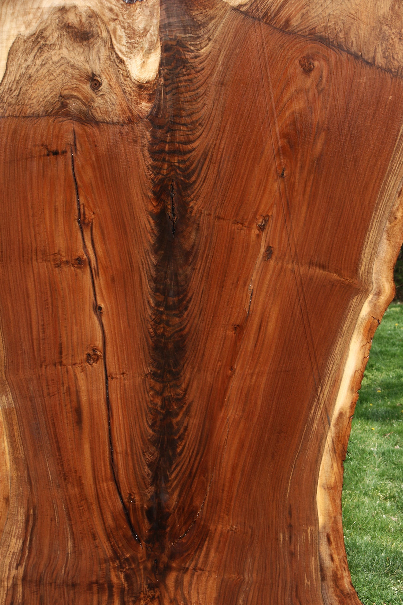Extra Fancy Fiddleback Claro Walnut Live Edge Slab