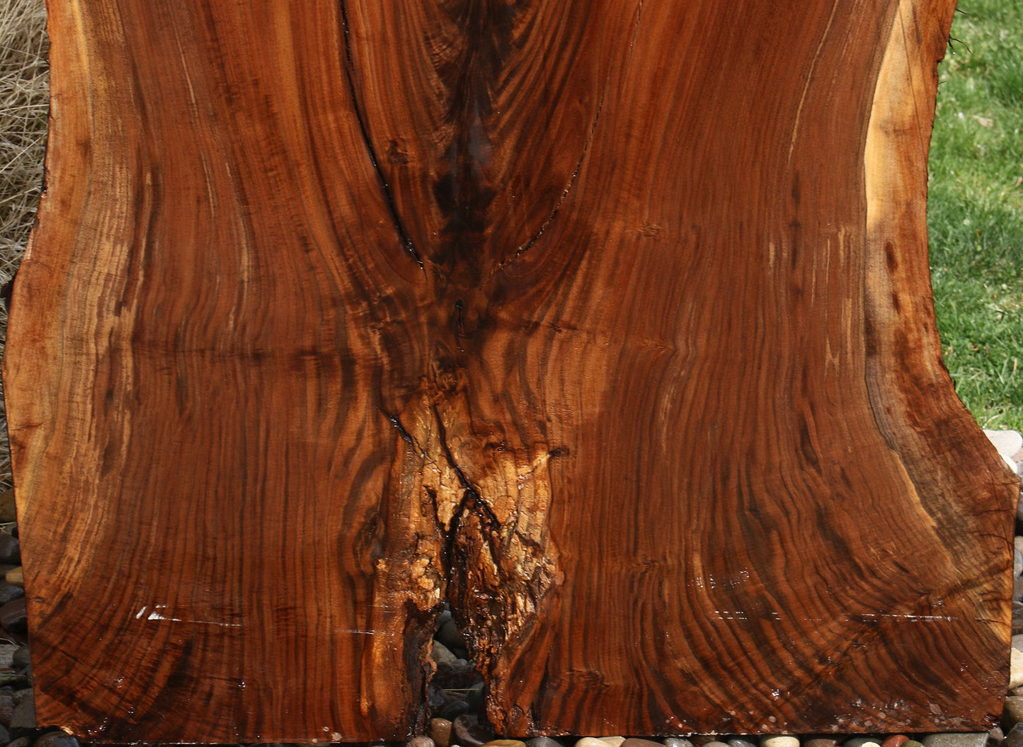 Extra Fancy Fiddleback Claro Walnut Live Edge Slab