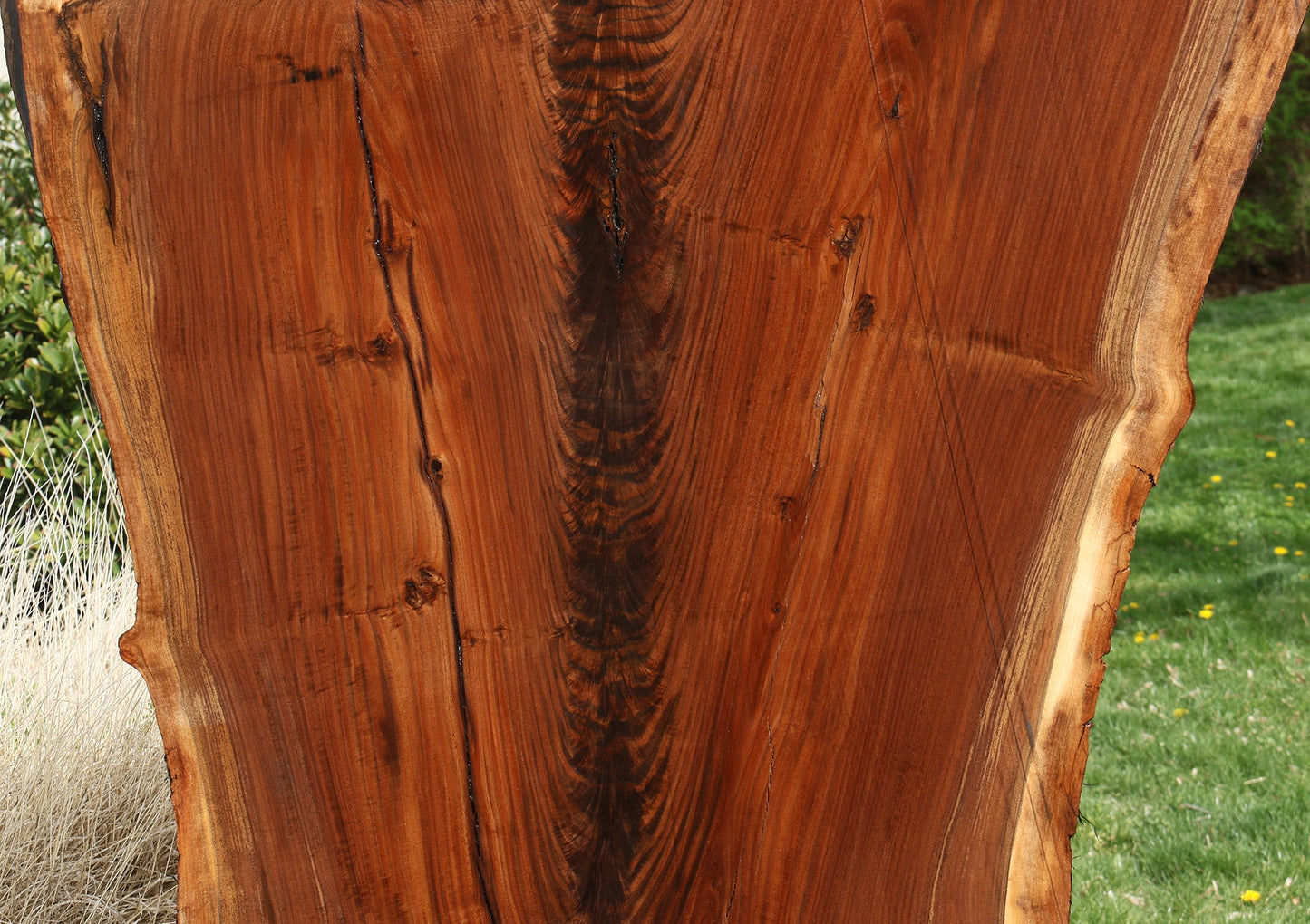 Extra Fancy Fiddleback Claro Walnut Live Edge Slab
