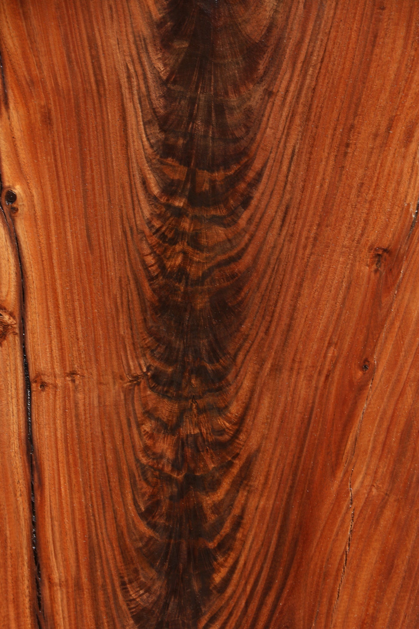 Extra Fancy Fiddleback Claro Walnut Live Edge Slab