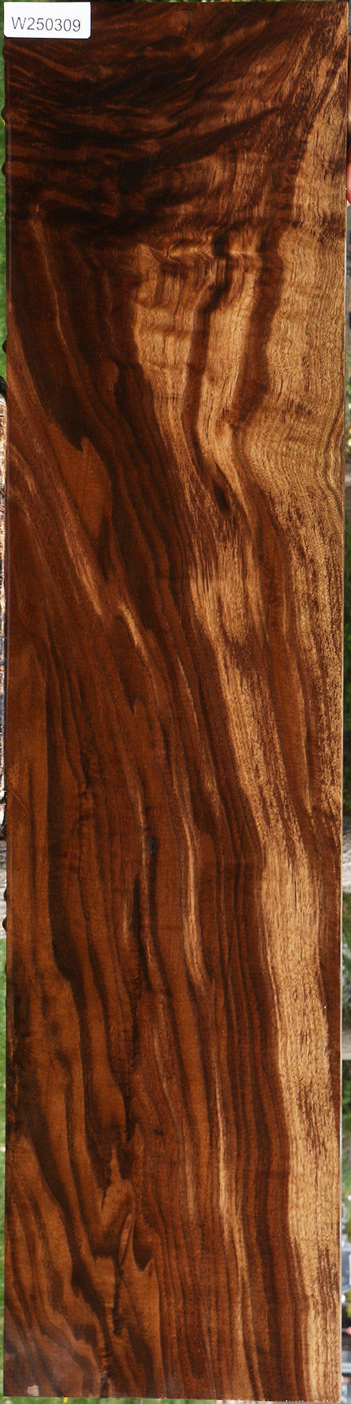 Extra Fancy Claro Walnut Lumber