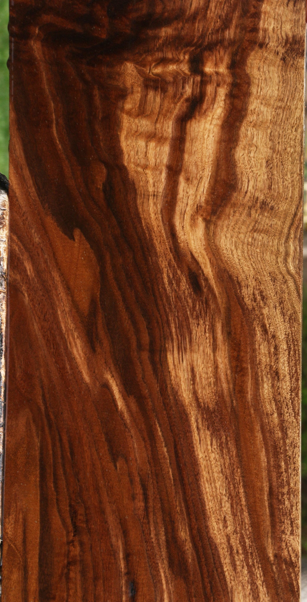 Extra Fancy Claro Walnut Lumber