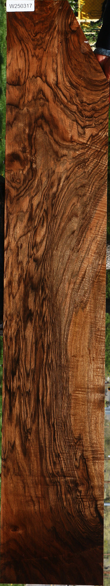 Exhibition English Walnut Instrument Lumber