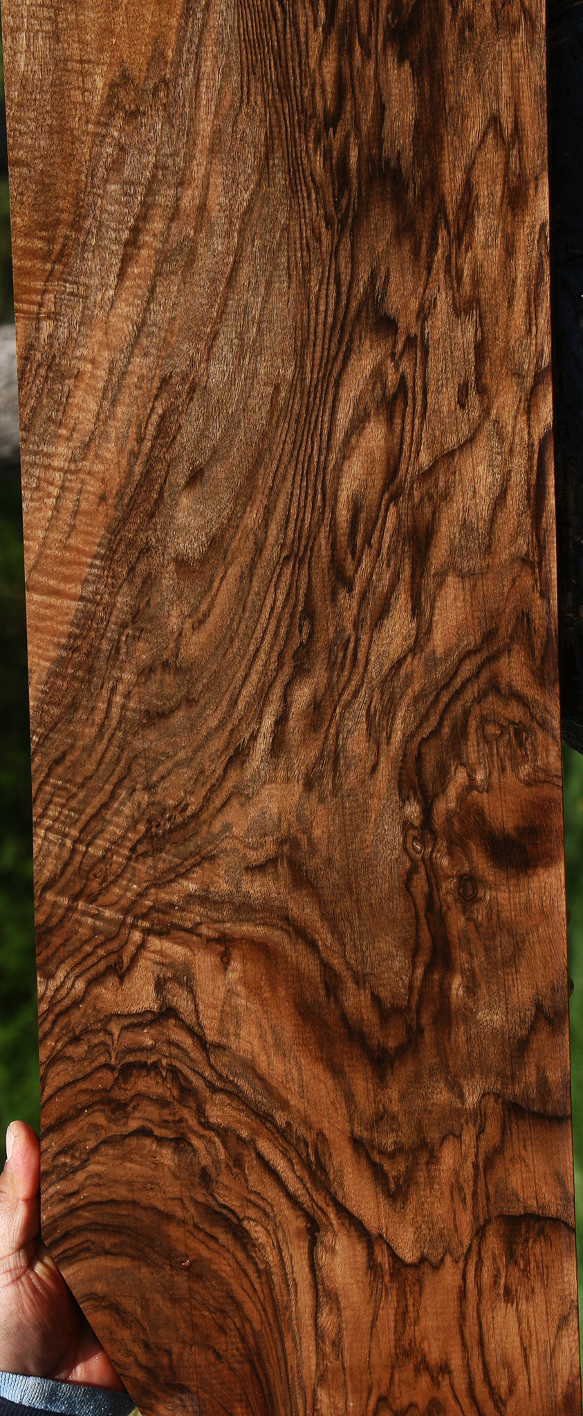 Exhibition English Walnut Instrument Lumber