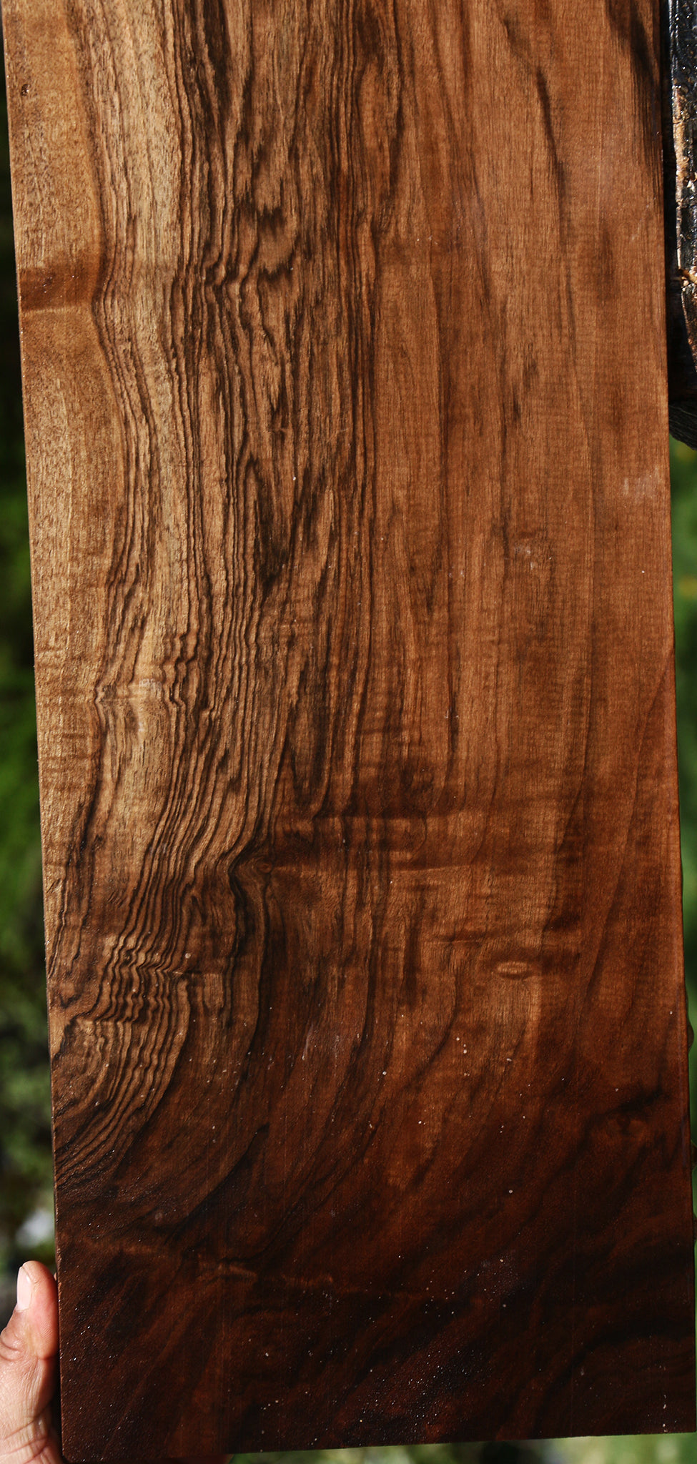 Exhibition English Walnut Instrument Lumber