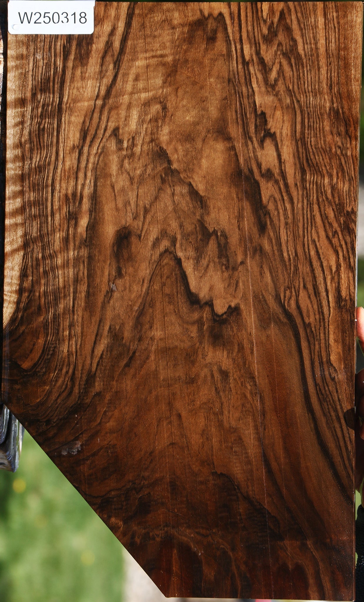 Extra Fancy English Walnut Lumber