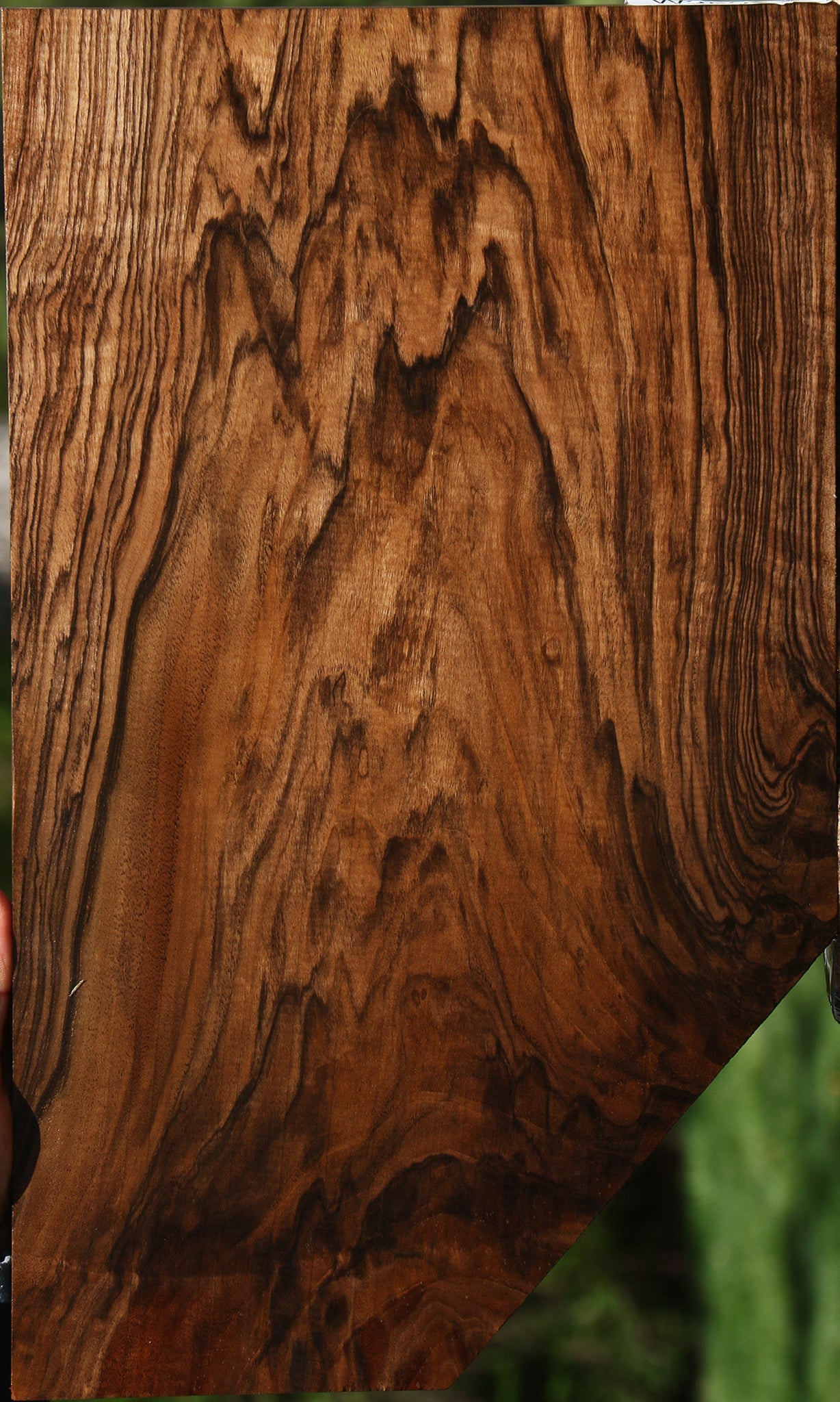 Extra Fancy English Walnut Lumber