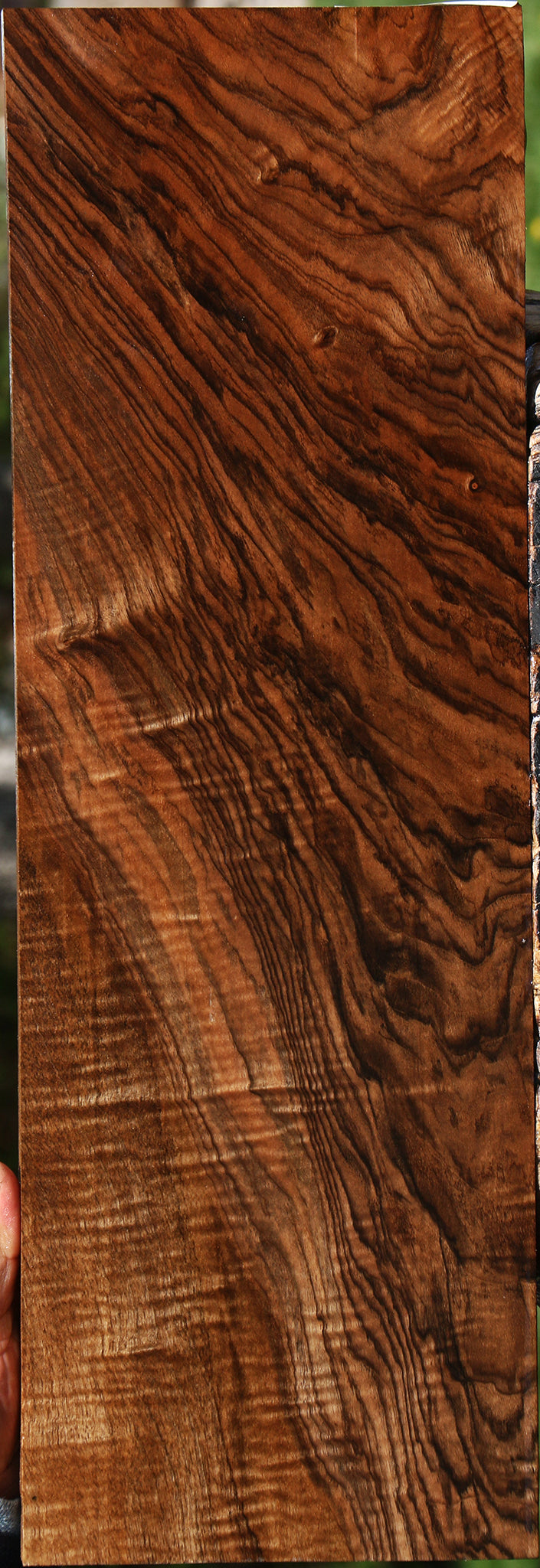 Exhibition English Walnut Instrument Lumber