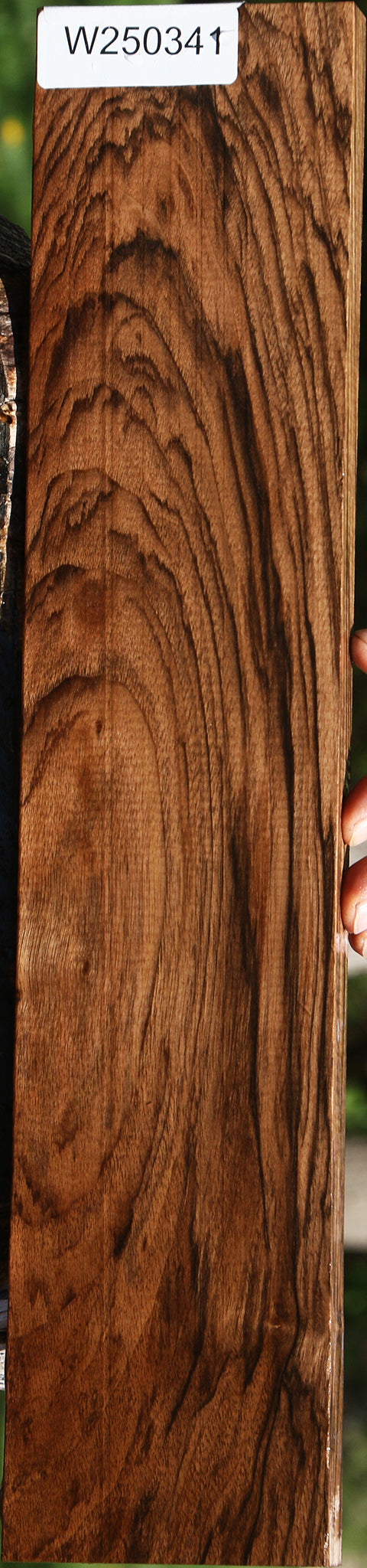 Extra Fancy English Walnut Lumber