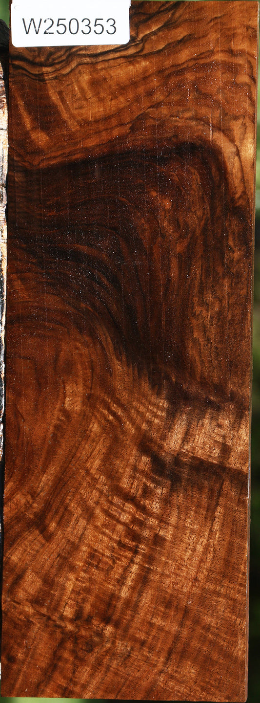 Exhibition English Walnut Lumber