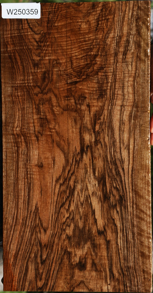Exhibition English Walnut Micro Lumber