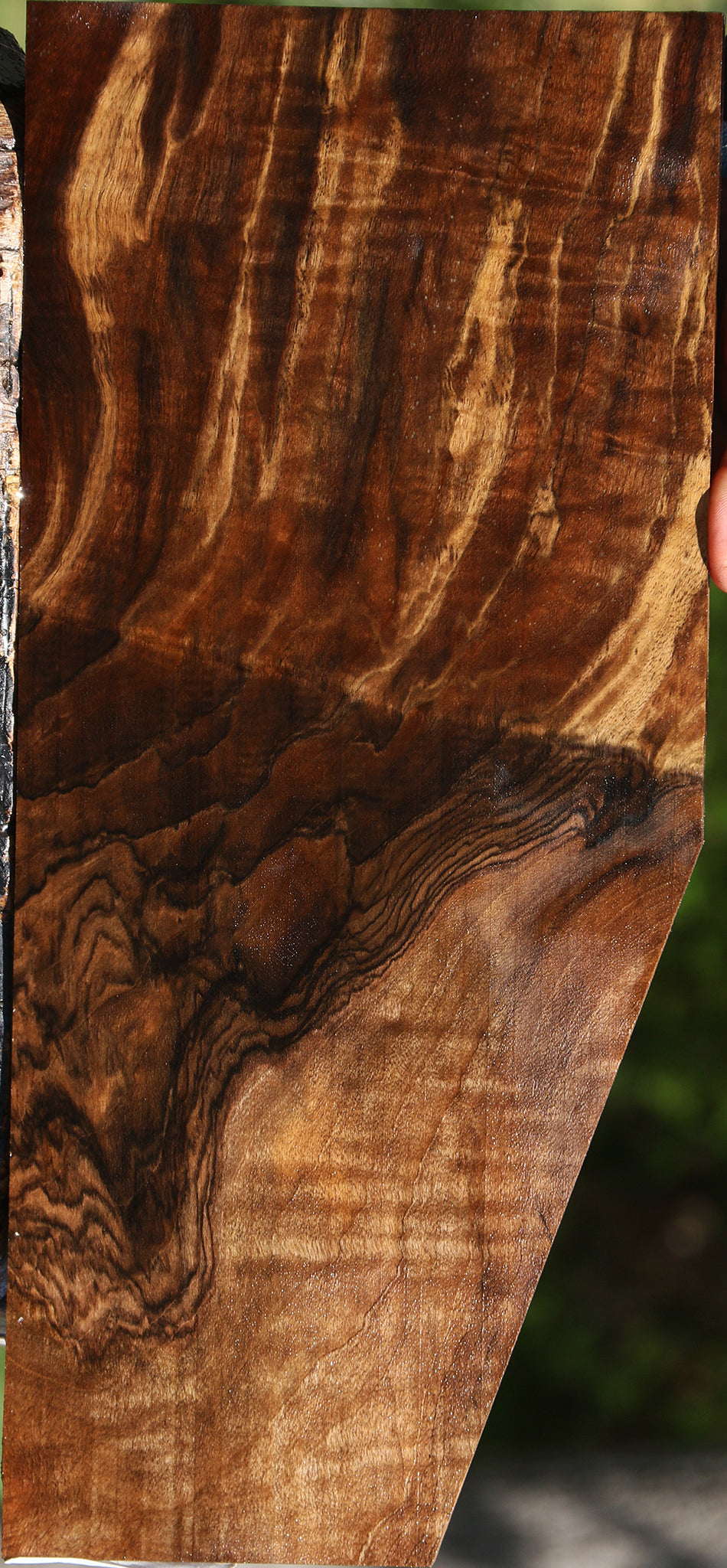 Extra Fancy Grafted English Walnut Lumber