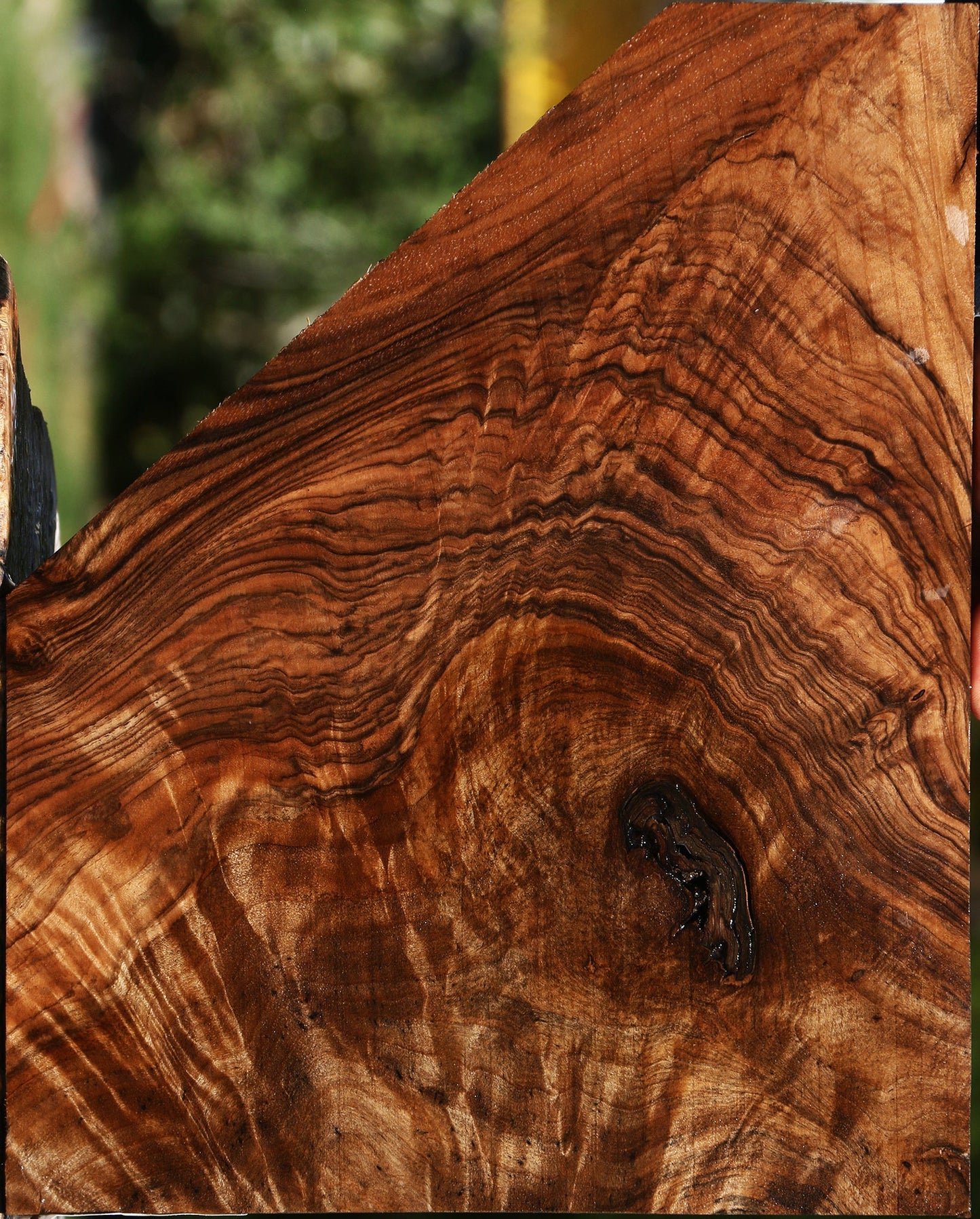 Exhibition English Walnut Lumber