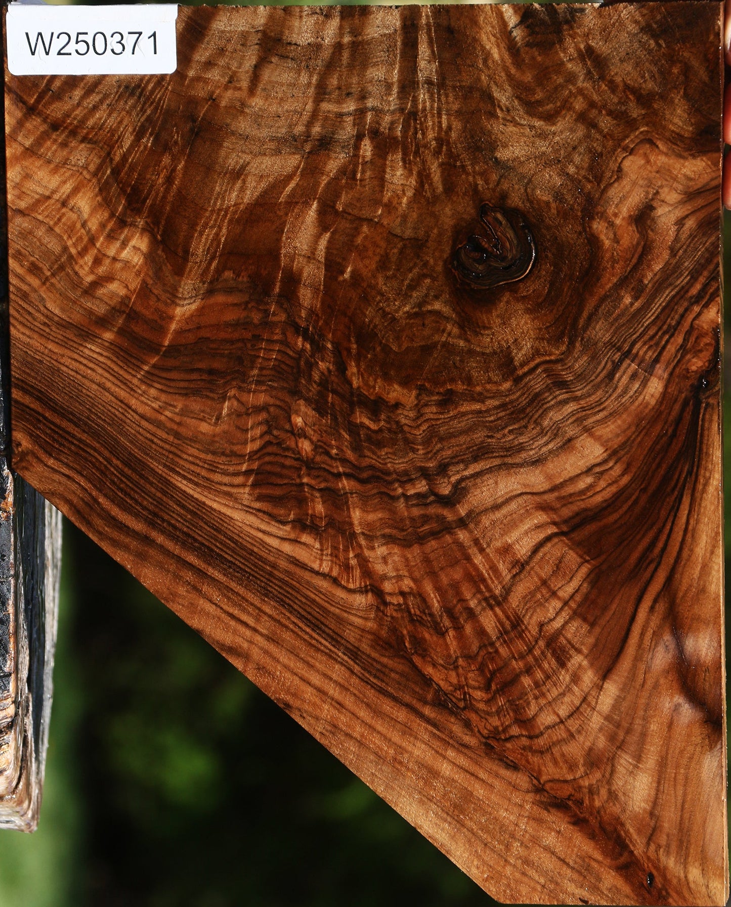 Exhibition English Walnut Lumber