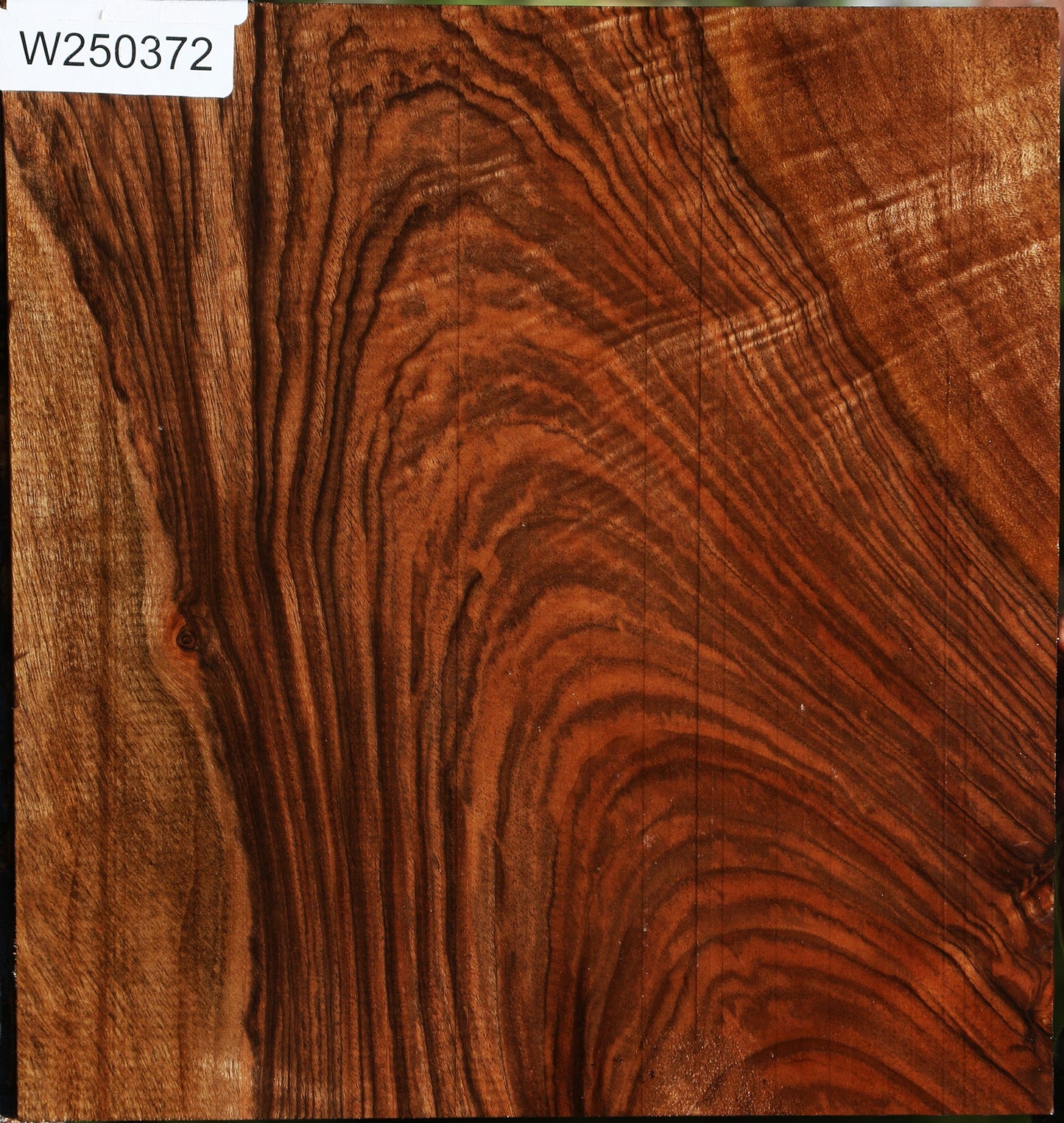 Extra Fancy English Walnut Lumber