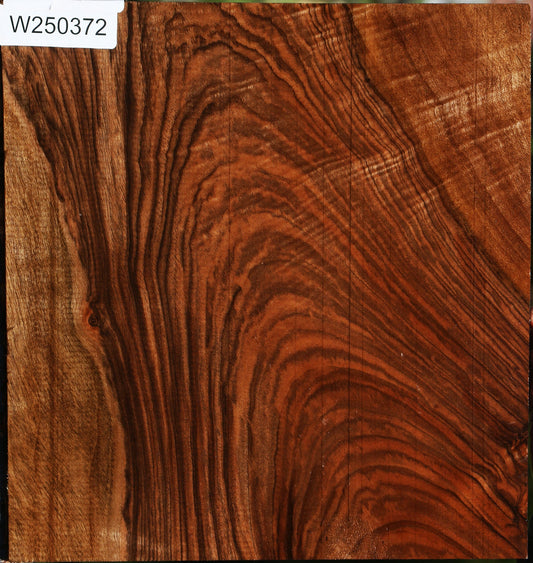 Extra Fancy English Walnut Lumber