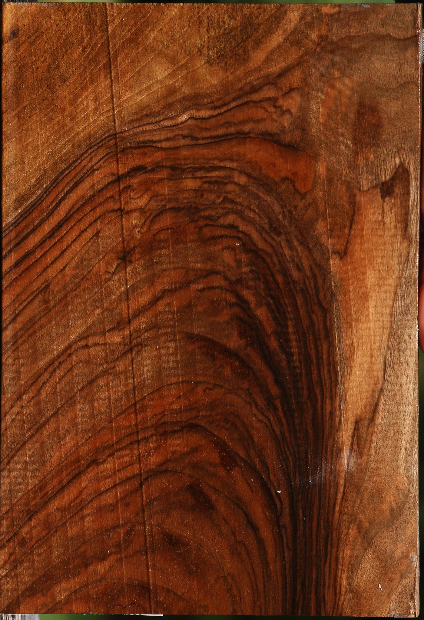 Exhibition English Walnut Lumber