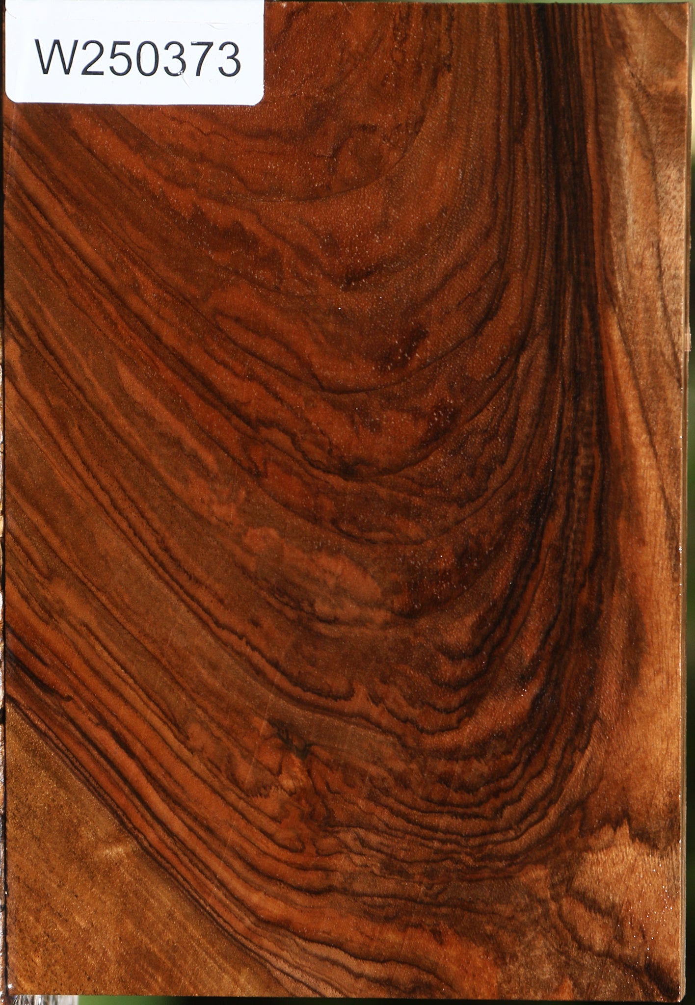 Exhibition English Walnut Lumber