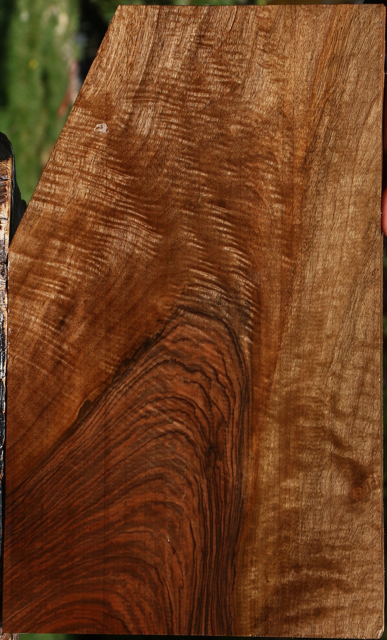 Figured English Walnut Instrument Lumber