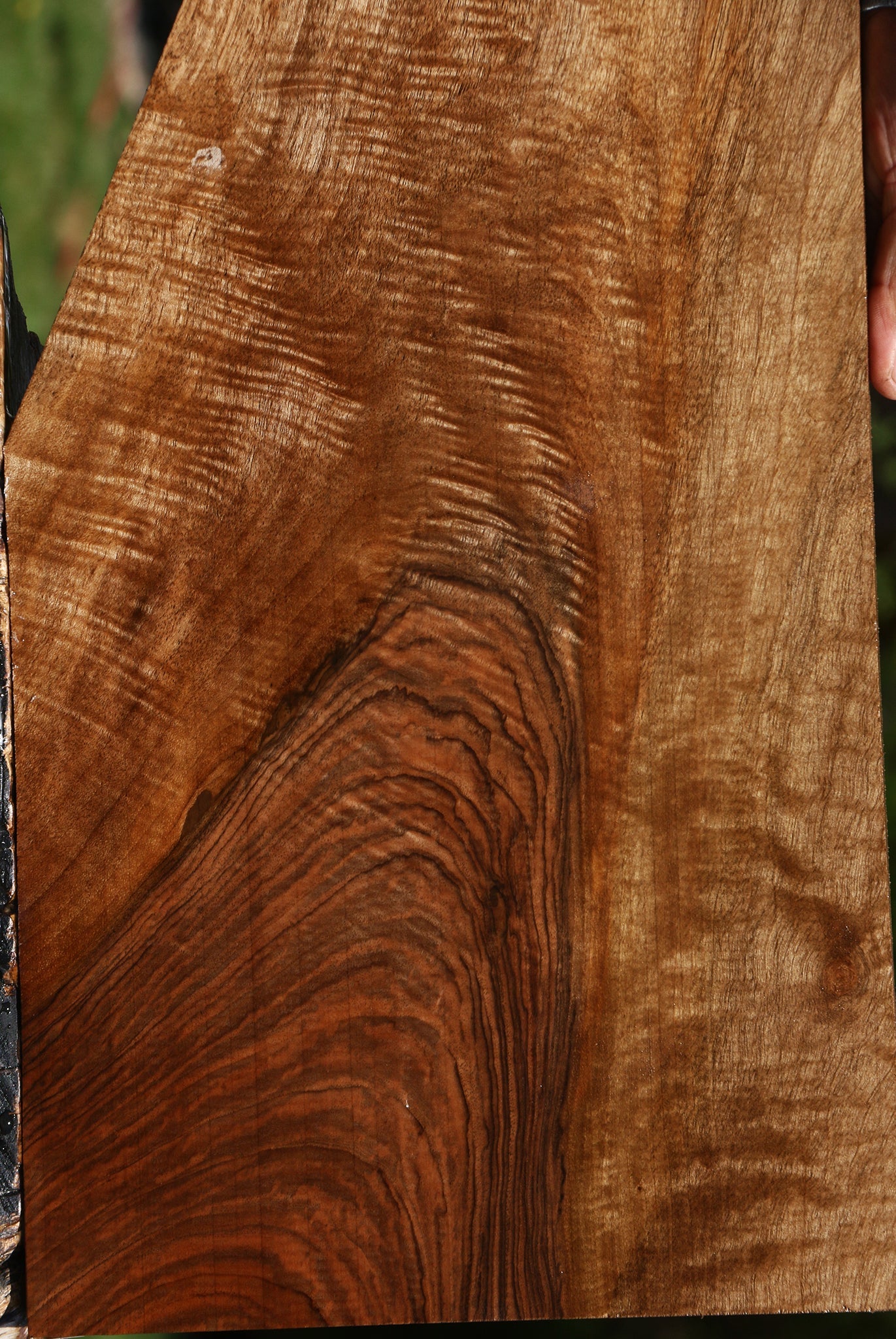 Figured English Walnut Instrument Lumber