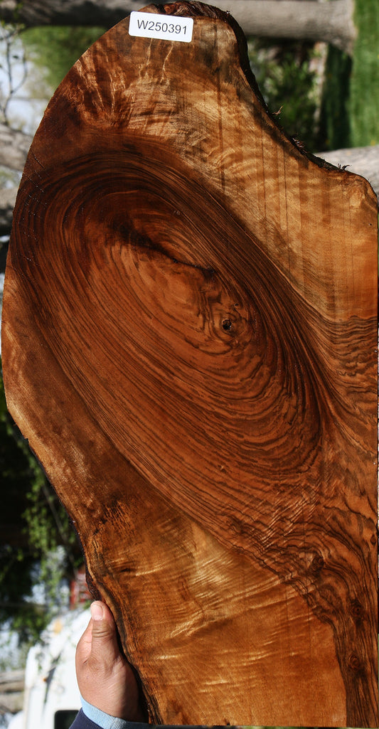Exhibition English Walnut Live Edge Lumber
