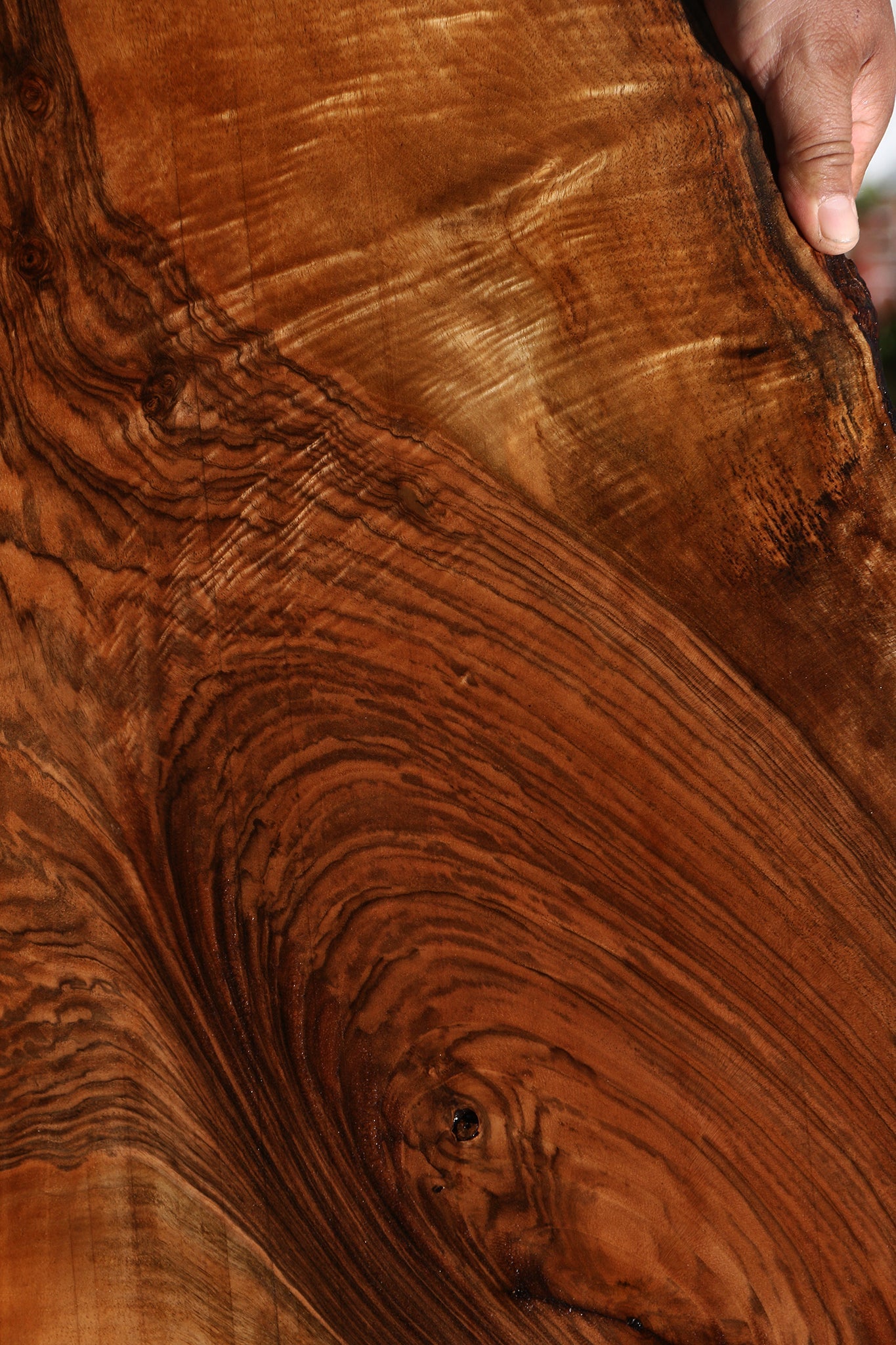 Exhibition English Walnut Live Edge Lumber