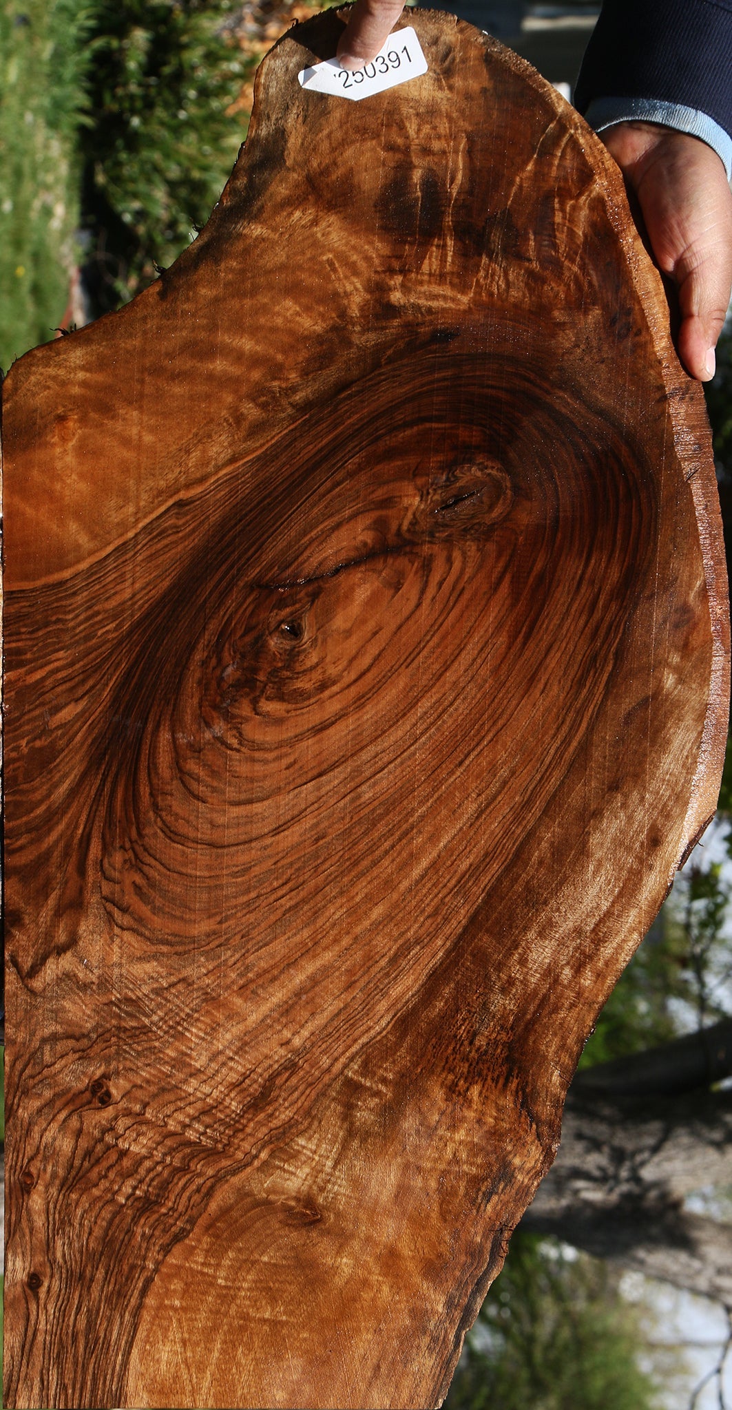 Exhibition English Walnut Live Edge Lumber