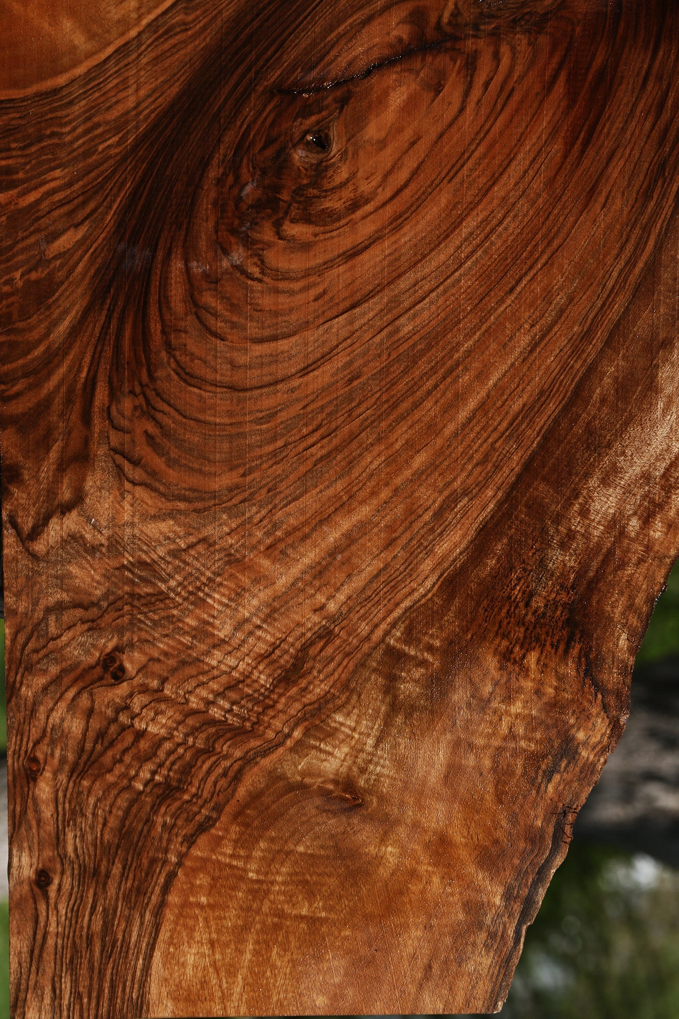 Exhibition English Walnut Live Edge Lumber