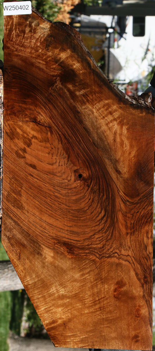 Figured Rustic English Walnut Live Edge Lumber