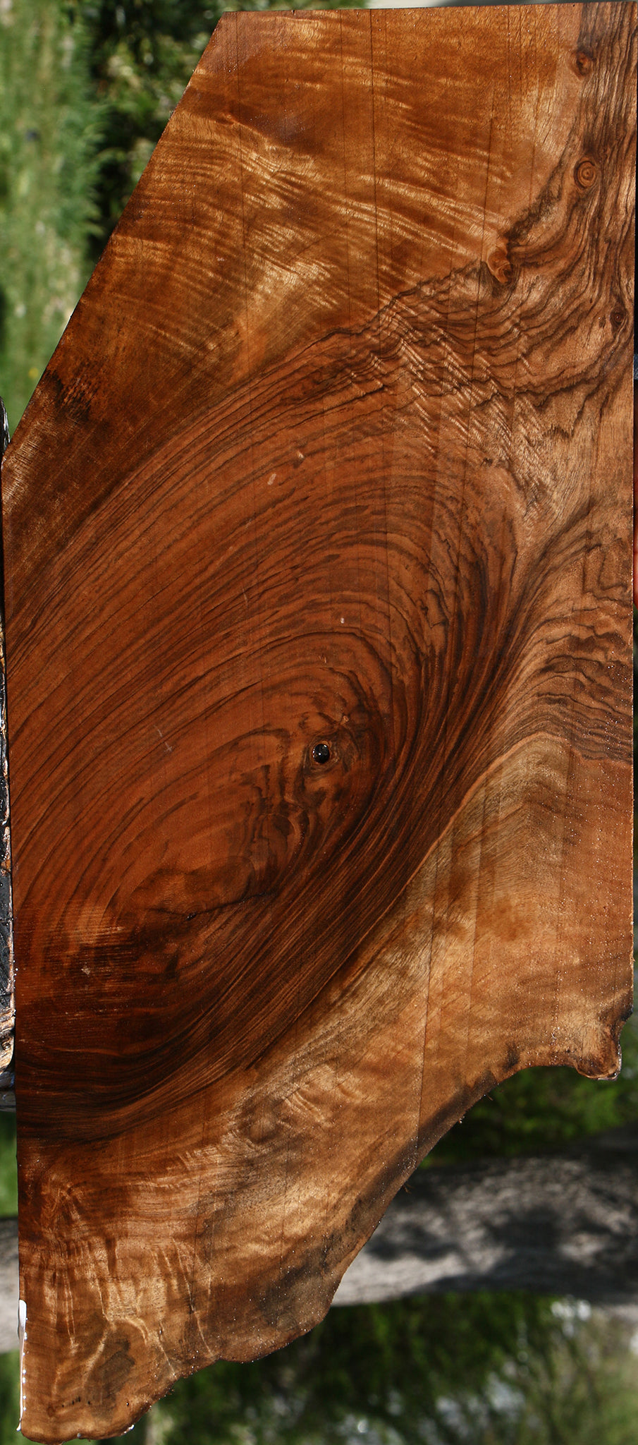 Figured Rustic English Walnut Live Edge Lumber