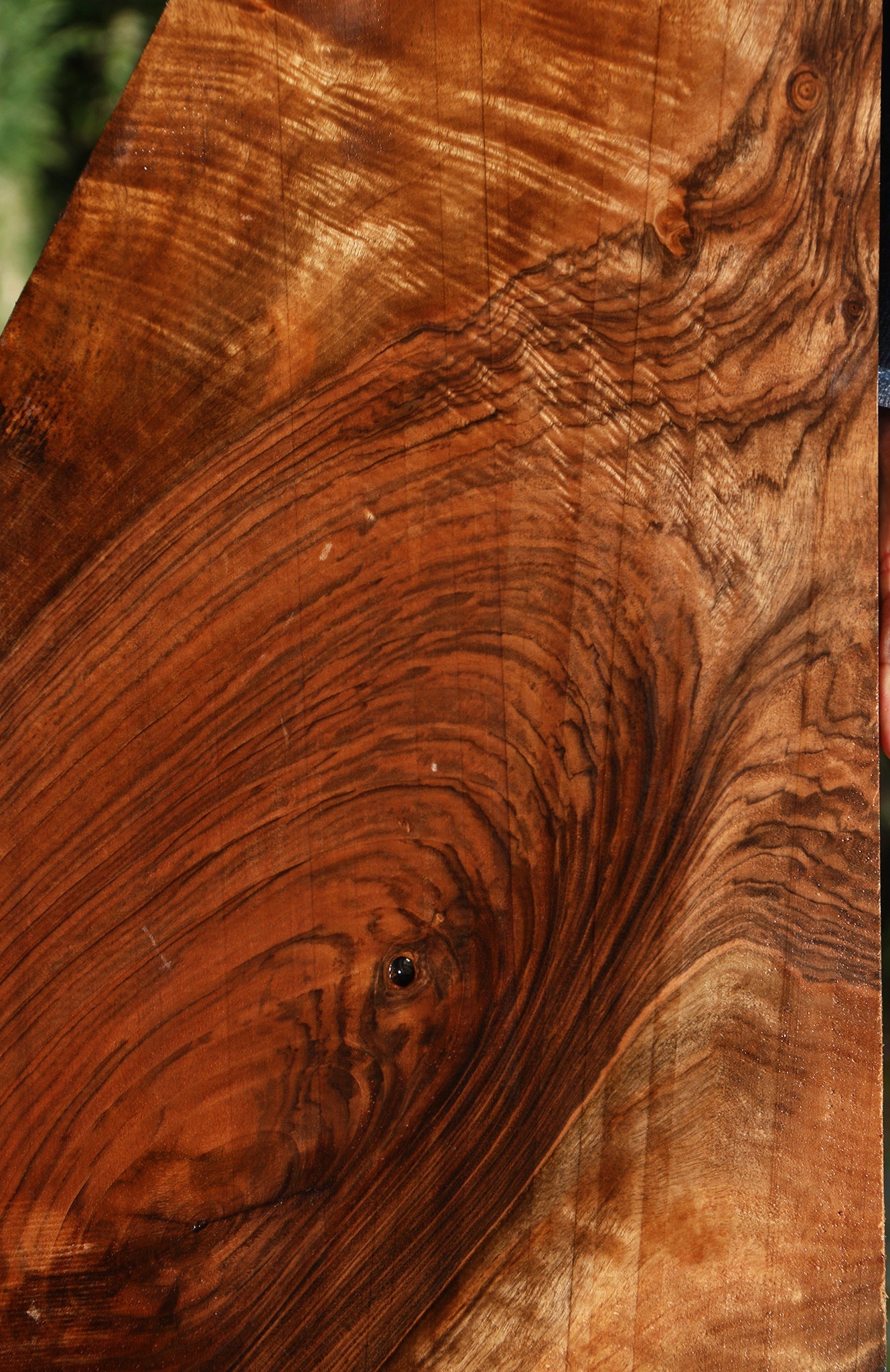 Figured Rustic English Walnut Live Edge Lumber