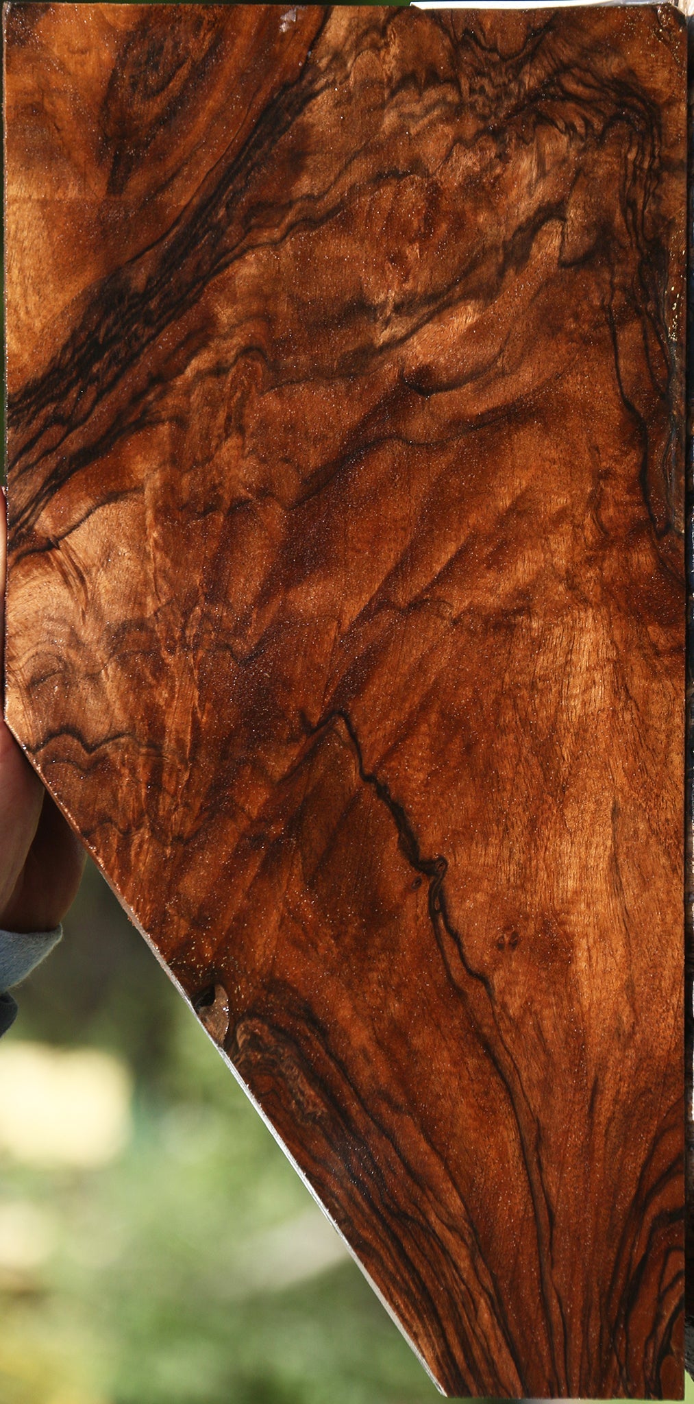 Exhibition English Walnut Lumber