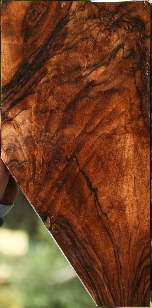 Exhibition English Walnut Lumber
