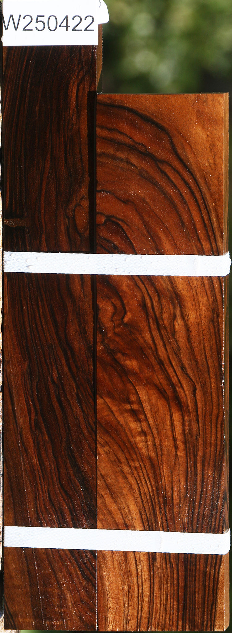 Extra Fancy English Walnut Lumber 2 Pack