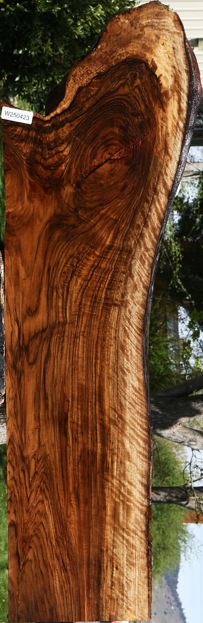 Exhibition English Walnut Live Edge Slab