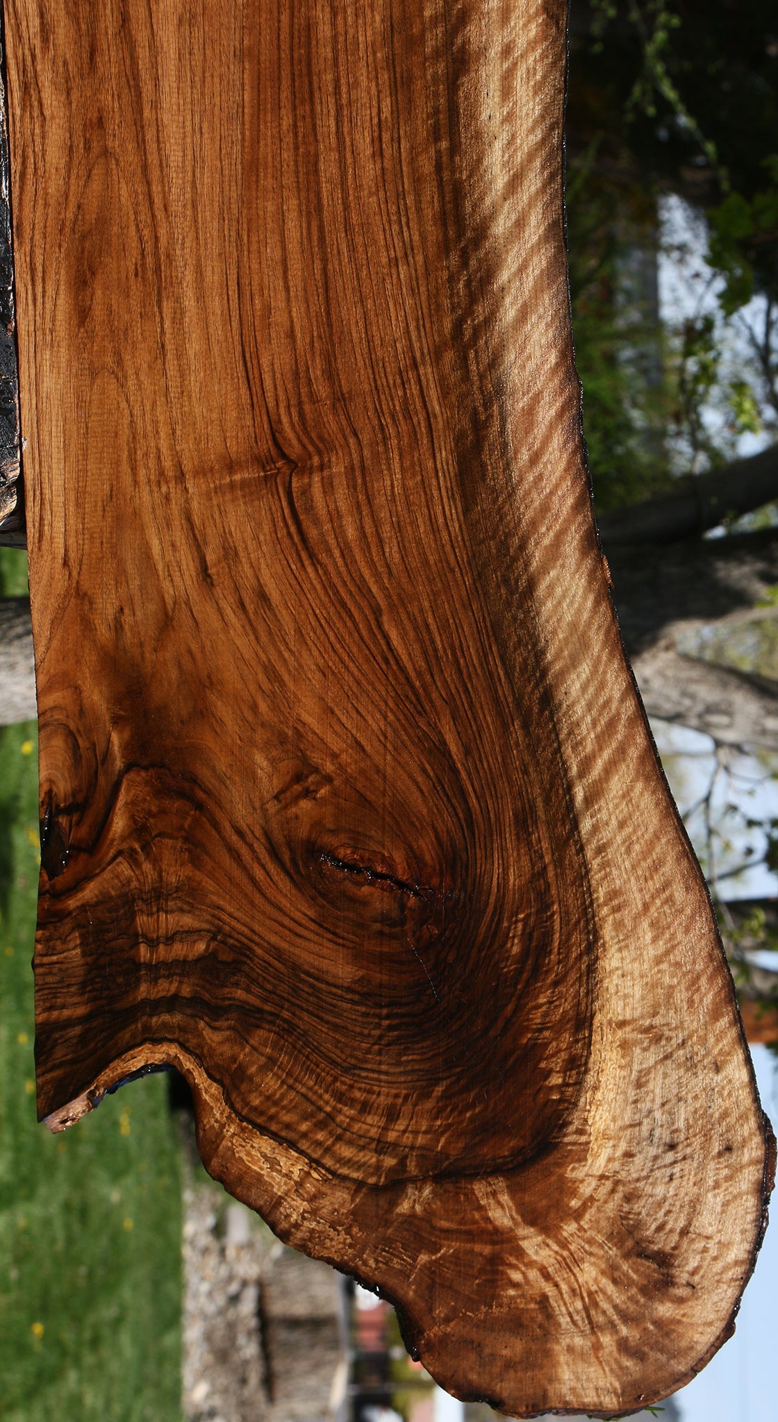Exhibition English Walnut Live Edge Slab