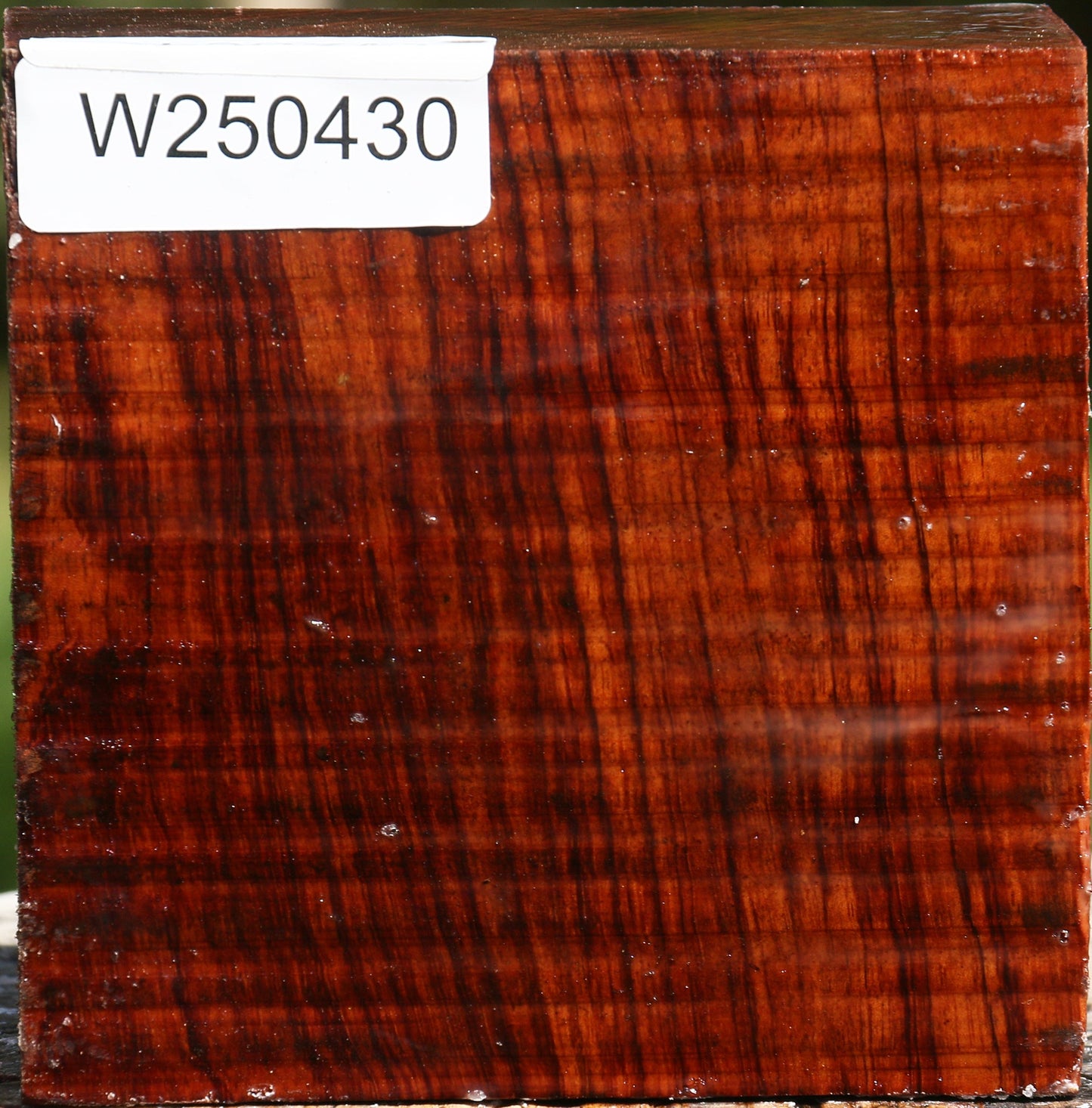Bubinga Bowl Blank
