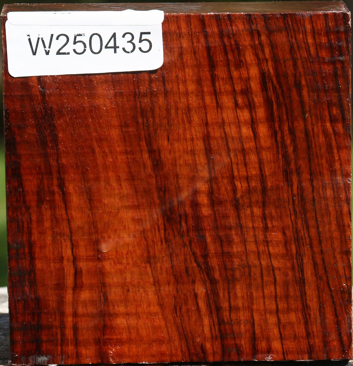 Bubinga Bowl Blank