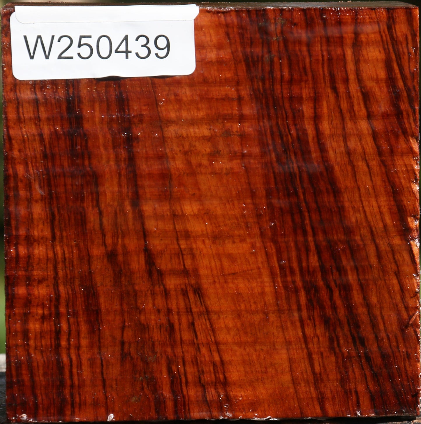 Bubinga Bowl Blank