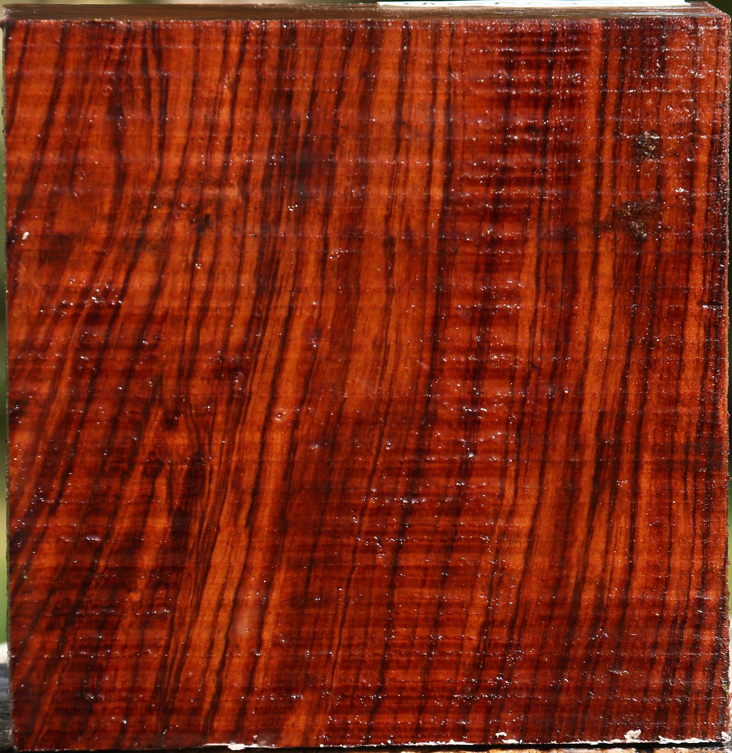 Bubinga Bowl Blank