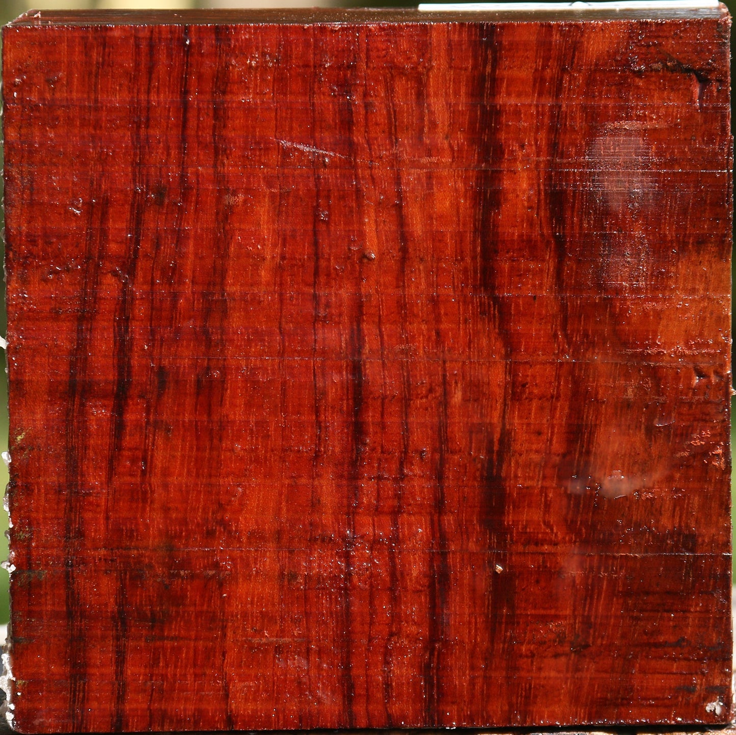 Bubinga Bowl Blank