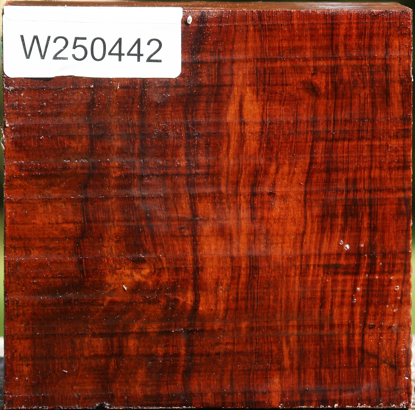 Bubinga Bowl Blank