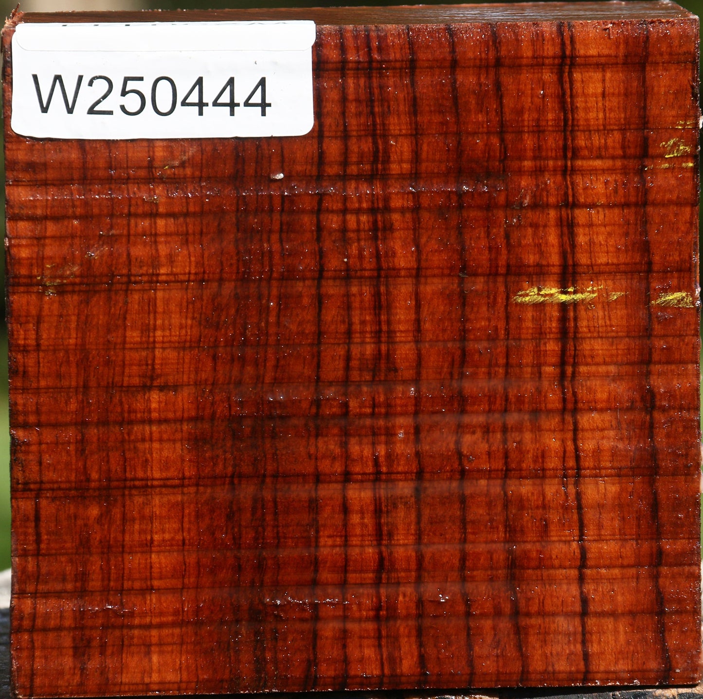 Bubinga Bowl Blank