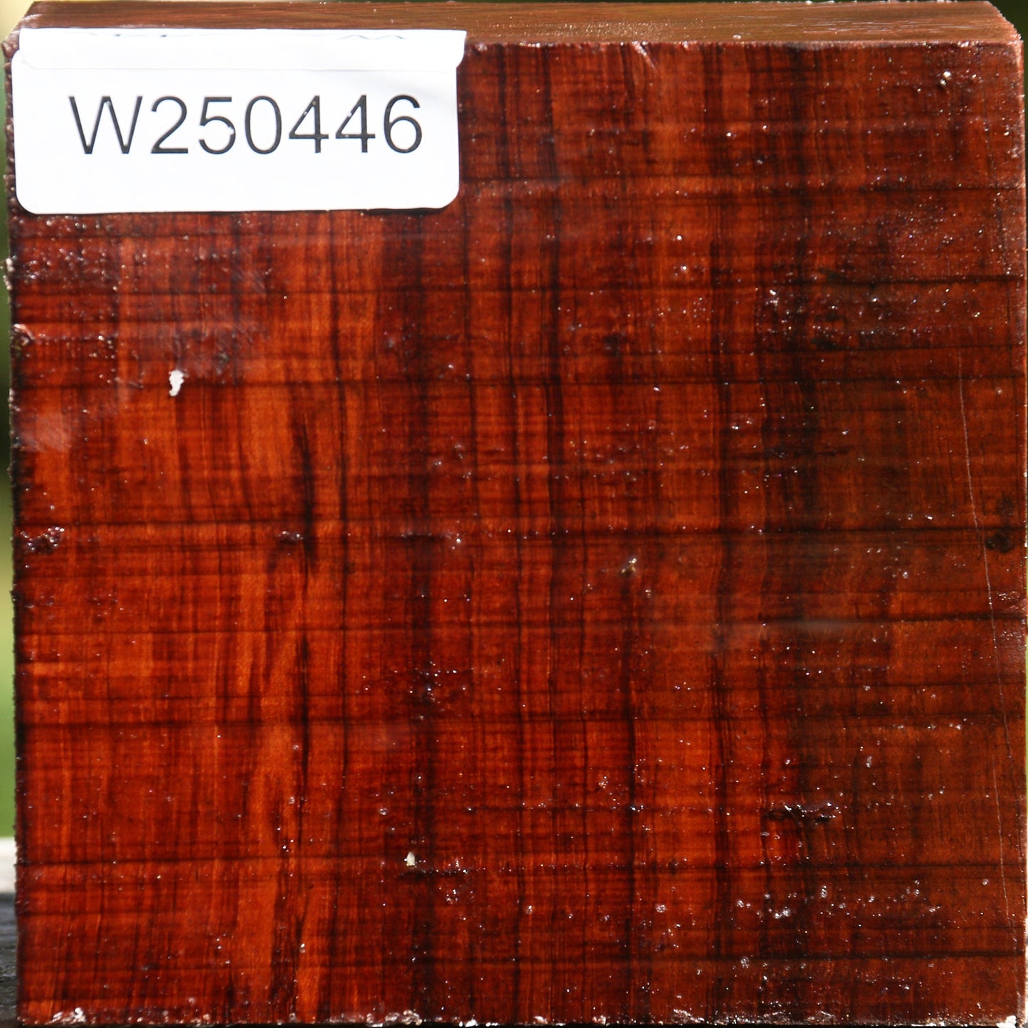 Bubinga Bowl Blank