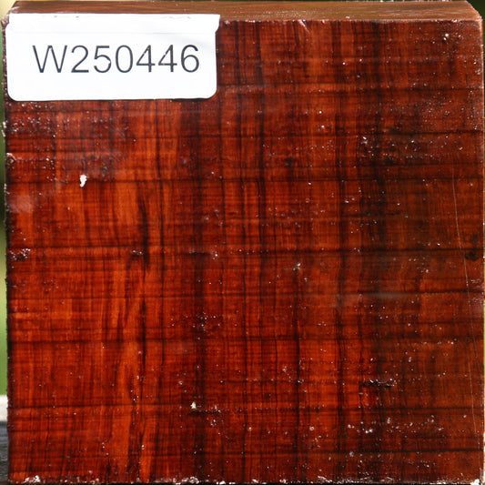 Bubinga Bowl Blank