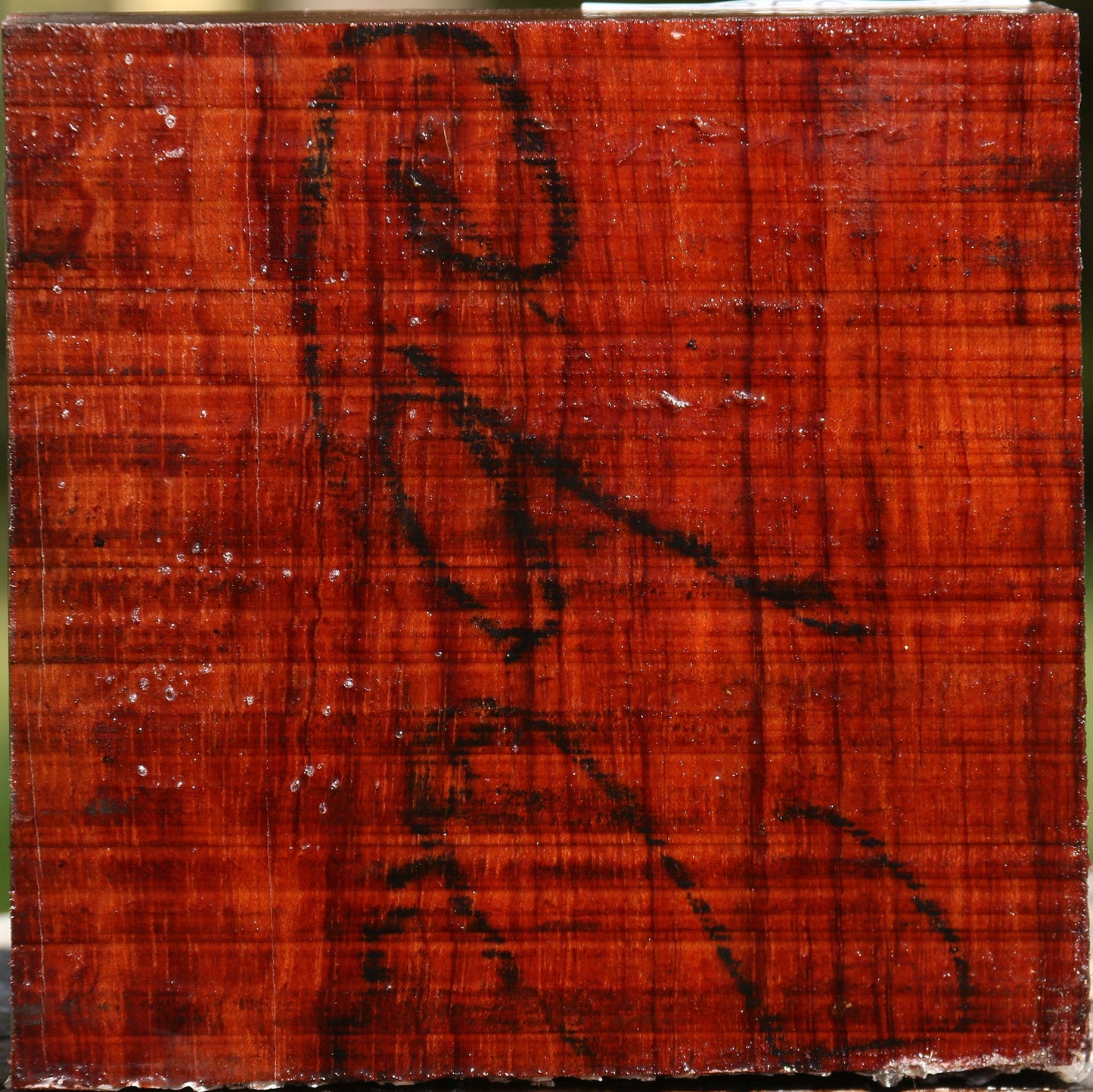 Bubinga Bowl Blank