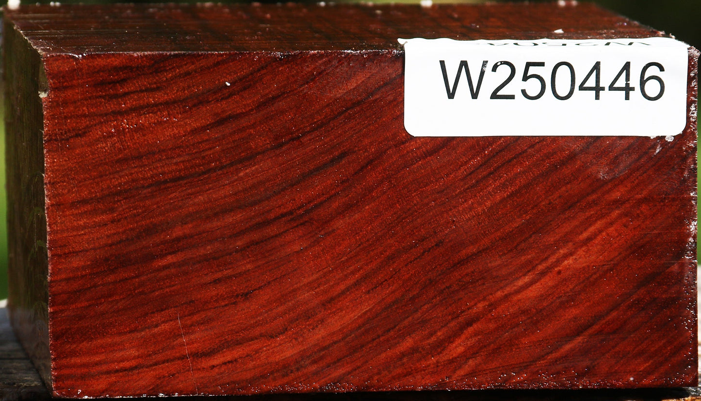 Bubinga Bowl Blank