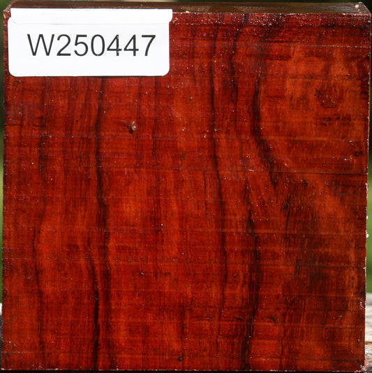 Bubinga Bowl Blank